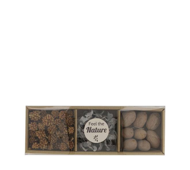 Exotic mix potpourri amrapod tray nature 28.5x10x4cm