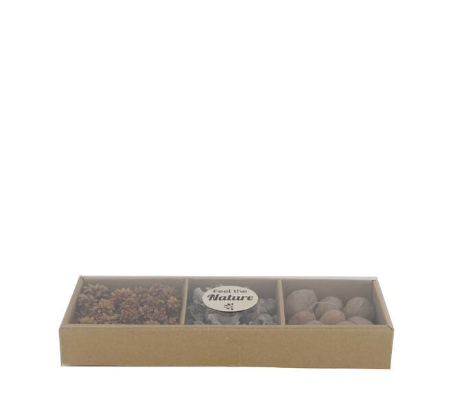 Exotic mix potpourri amrapod tray nature 28.5x10x4cm