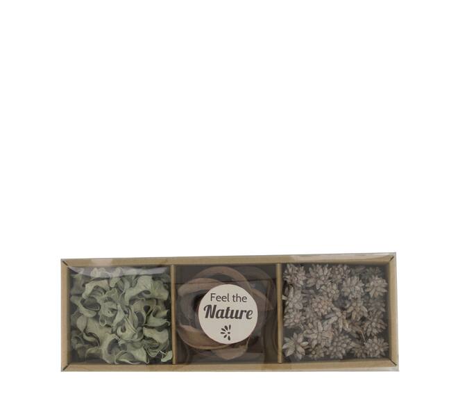 Exotic mix potpourri coco cut tray nature 28.5x10x4cm