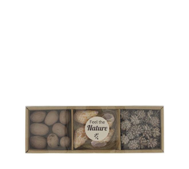 Exotic mix potpourri puramuttai tray nature 28.5x10x4cm - Cream