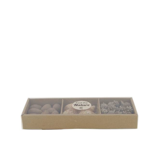 Exotic mix potpourri puramuttai tray nature 28.5x10x4cm - Cream