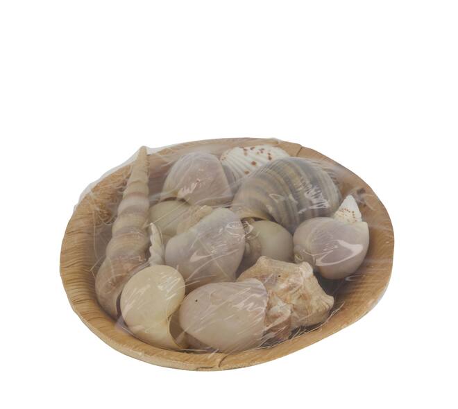Shell in round bowl nature 13x13x5cm 90gr
