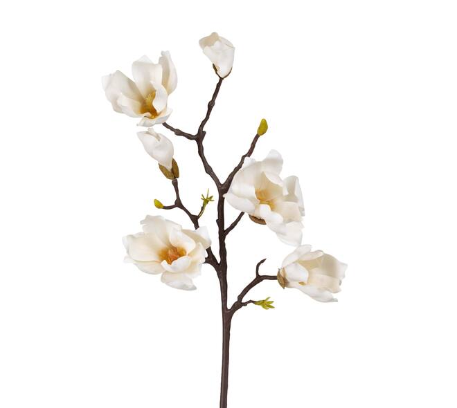 Branch magnolia artificial 65x23x6cm - White