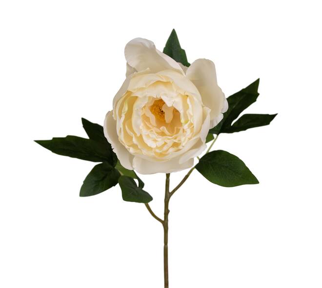 Branch peony artificial 67x19x16cm