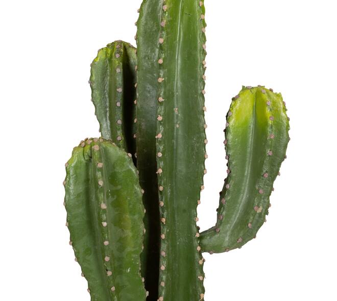 Plant cactus artificial 26x19x86cm - Green