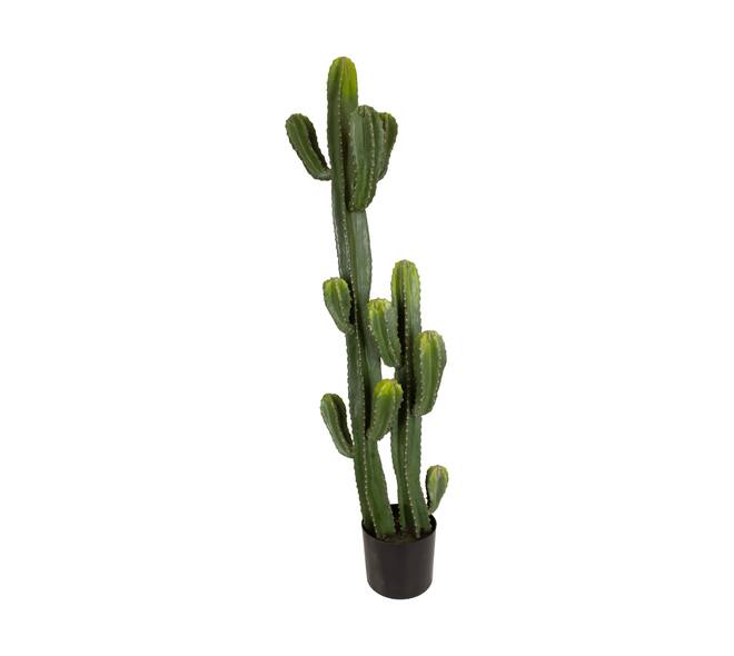 Plant cactus artificial 37x37x130cm