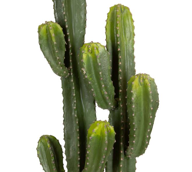 Plant cactus artificial 37x37x130cm