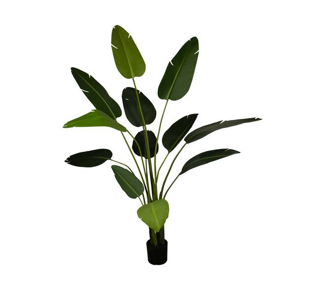 Plant strelitzia artificial 120x100x235cm KD - Green