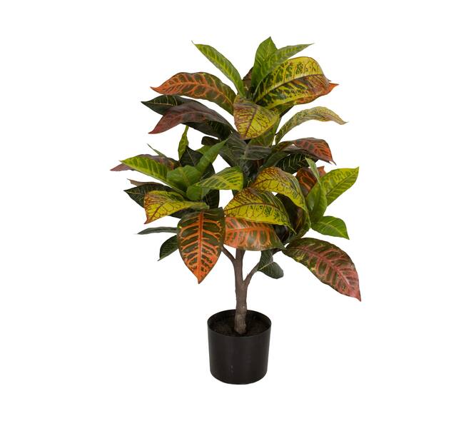 Plant croton artificial 60x60x75cm