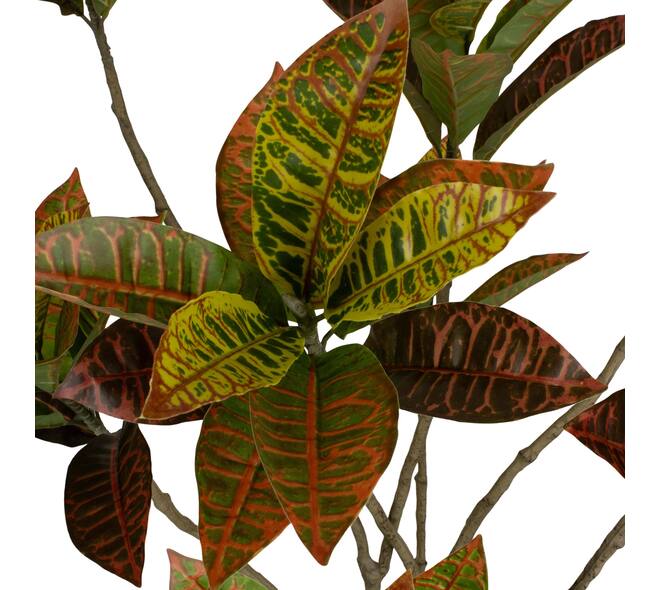 Plant croton artificial 55x60x125cm - Green