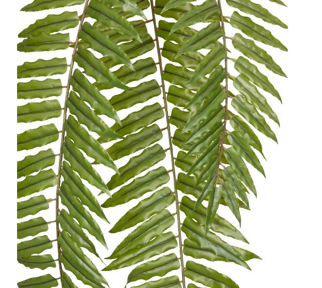 Plant fern artificial 180x40x8cm - Green