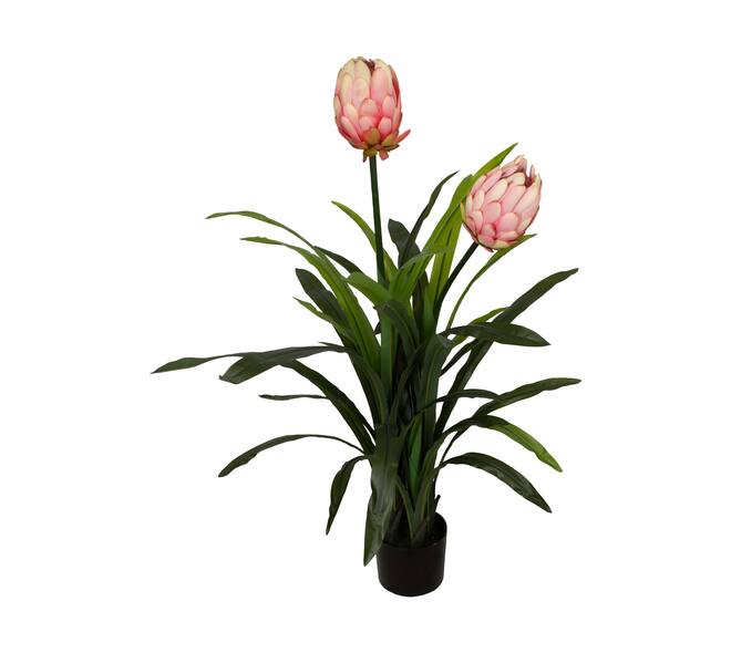 Flower protea artificial 80x75x116cm