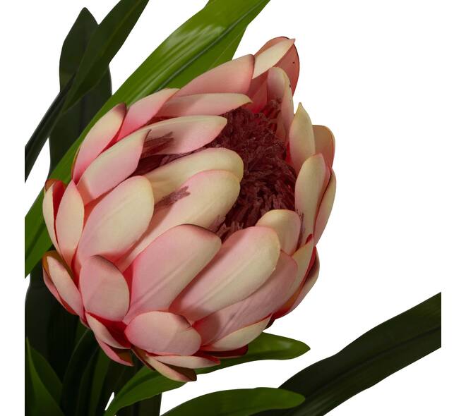 Flower protea artificial 80x75x116cm
