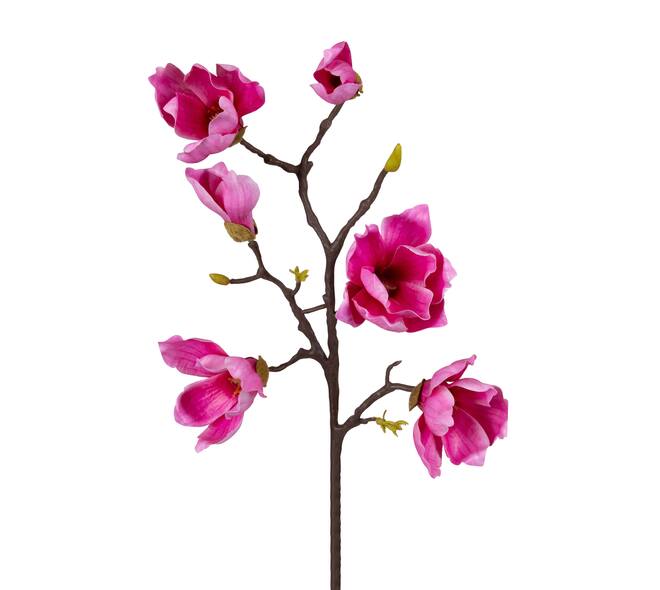 Branch magnolia artificial 65x23x10cm