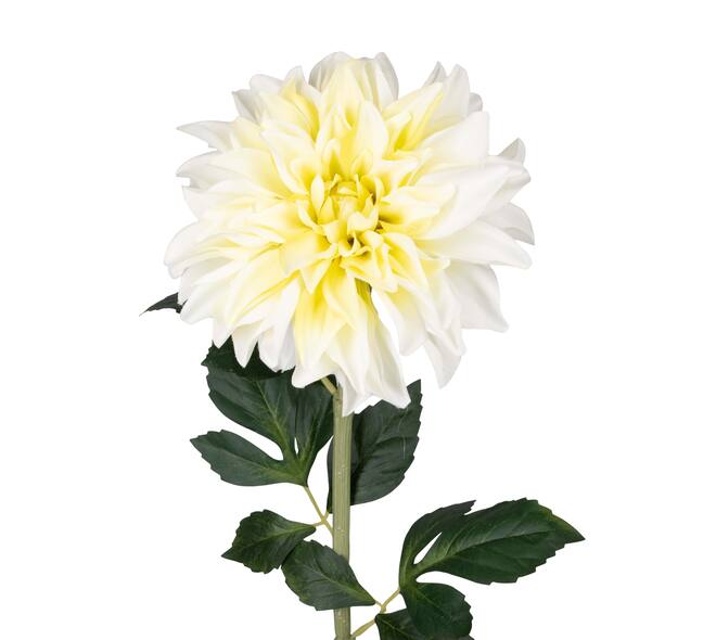 Branch dahlia artificial 73x20x20cm - White