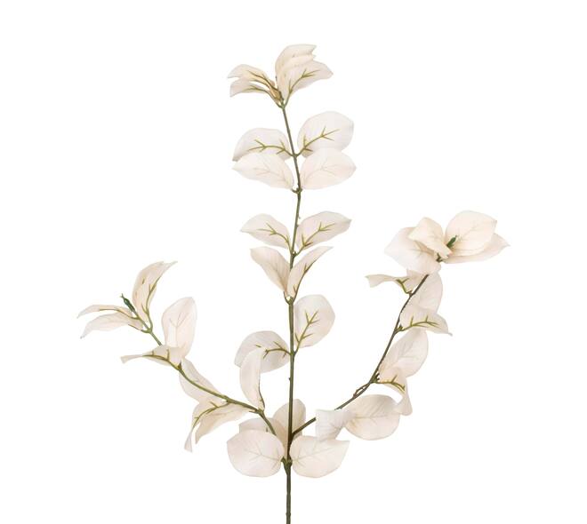 Branch eucalyptus artificial 81x25x13cm - Cream