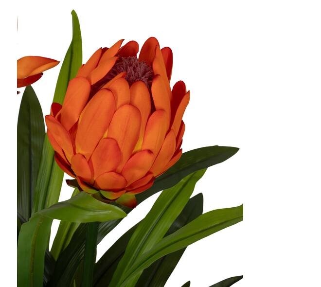 Flower protea artificial 80x75x116cm - Orange