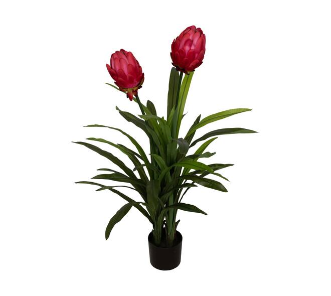 Flower protea artificial 80x75x116cm - Pink