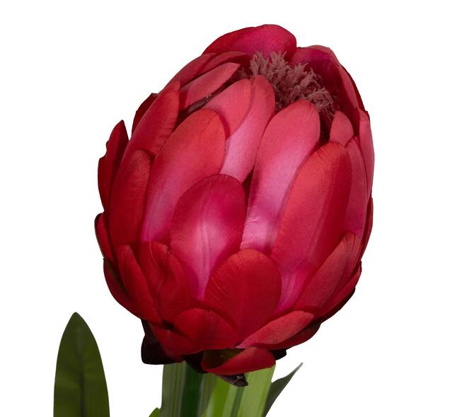 Flower protea artificial 80x75x116cm - Pink