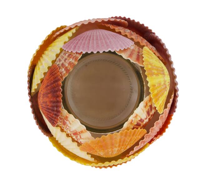 Tealight holder glass with shells 13x13x12.5cm