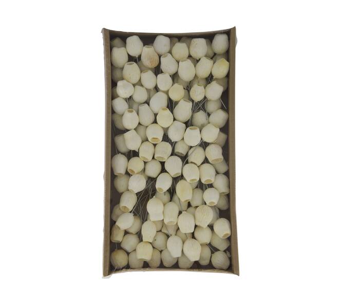 Bellgums on wire stem 80pc in tray 36x20x5cm