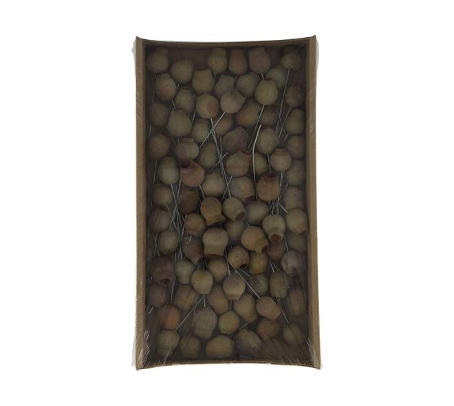Bellgums on wire stem 80pc in tray 36x20x5cm - Natural