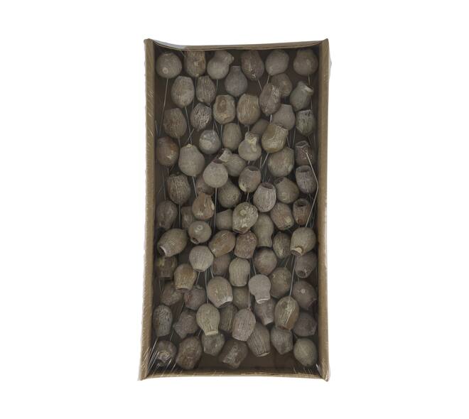 Bellgums on wire stem 80pc in tray 36x20x5cm