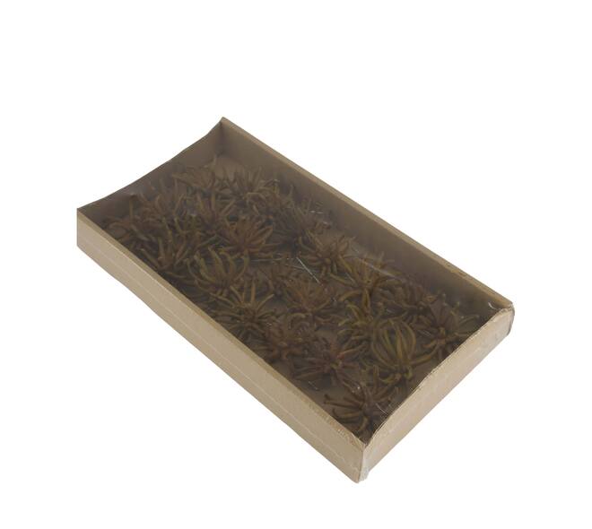 Spidergum claws on wire stem 20pc in tray 36x20x5cm - Natural