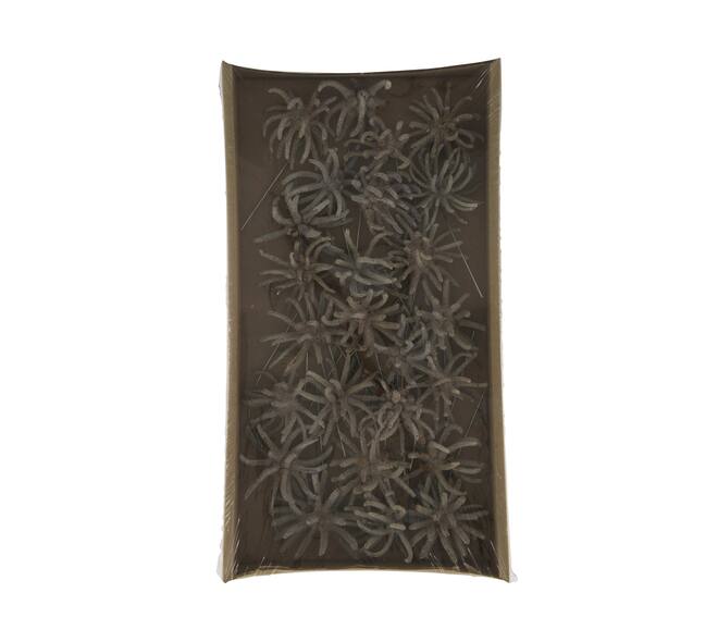 Spidergum claws on wire stem 20pc in tray 36x20x5cm