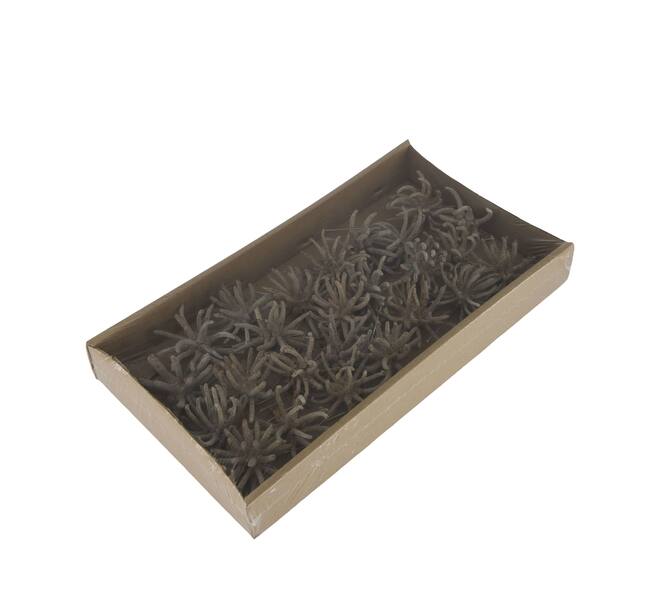 Spidergum claws on wire stem 20pc in tray 36x20x5cm