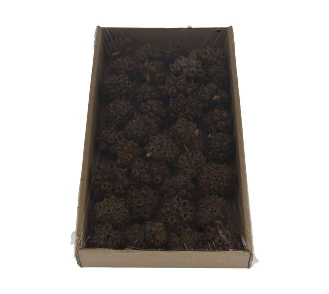 Spidergum knobs on wire stem 35pc in tray 36x20x5cm - Natural