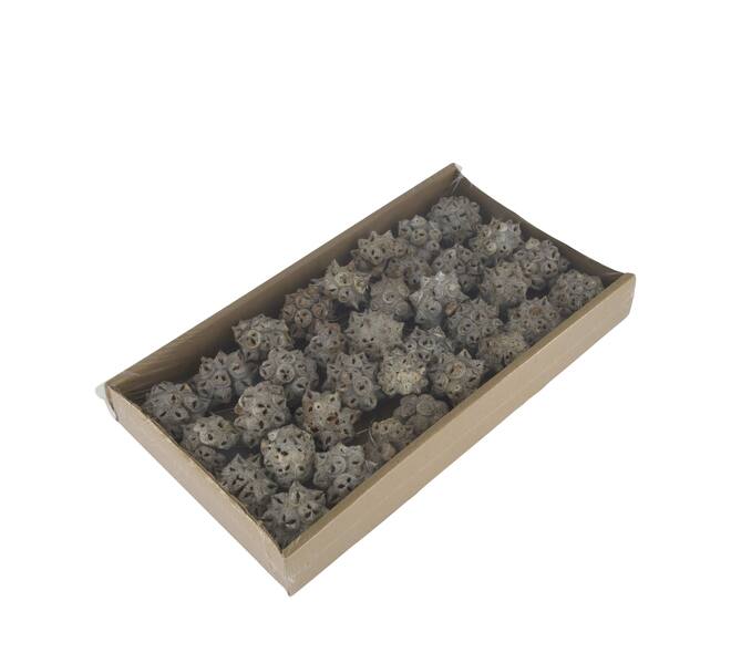 Spidergum knobs on wire stem 35pc in tray 36x20x5cm - White