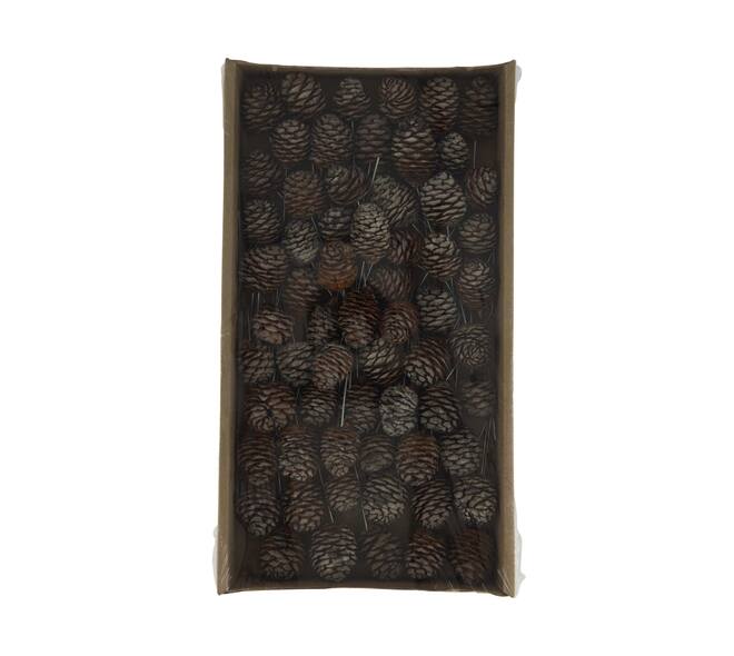 Muirrii on wire stem 60pc in tray 36x20x5cm - Natural