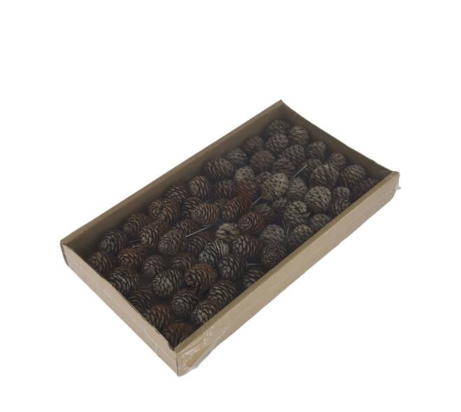 Muirrii on wire stem 60pc in tray 36x20x5cm - Natural