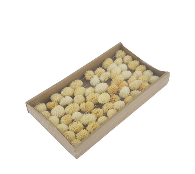 Muirrii on wire stem 60pc in tray 36x20x5cm