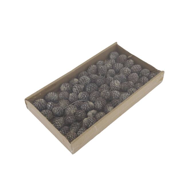 Muirii on wire stem 60pc in tray 36x20x5cm - White