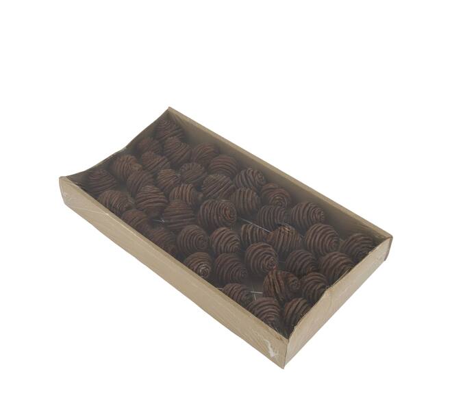 Platyspermum on wire stem 40pc in tray 36x20x5cm - Natural