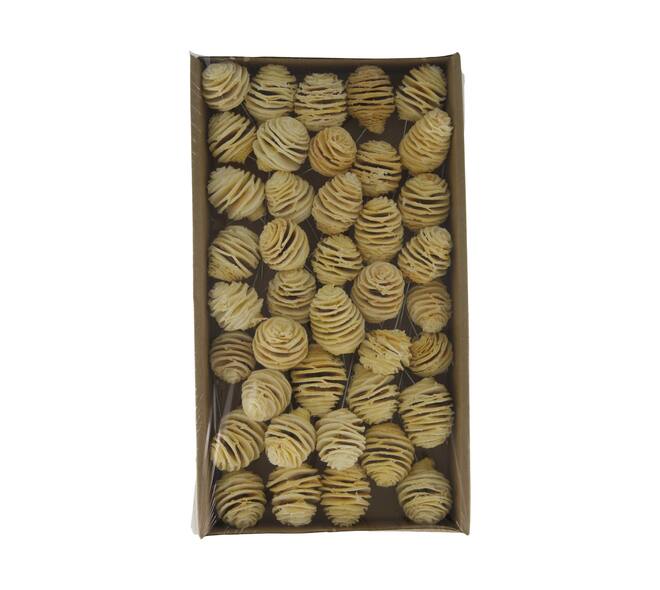 Platyspermum on wire stem 40pc in tray 36x20x5cm - Cream