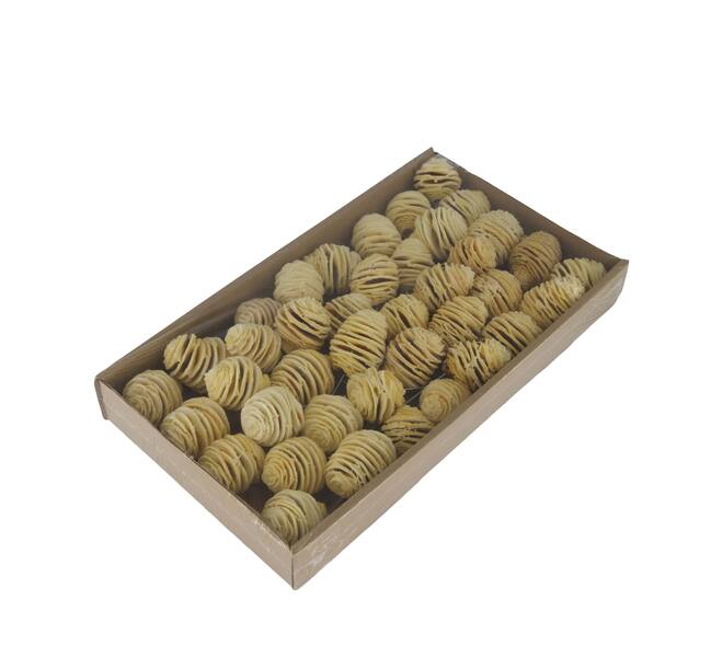 Platyspermum on wire stem 40pc in tray 36x20x5cm - Cream