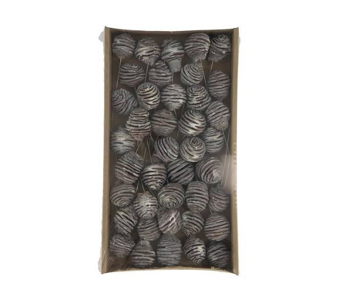 Platyspermum on wire stem 40pc in tray 36x20x5cm - White