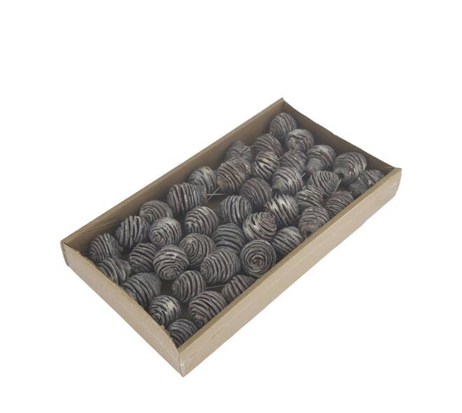 Platyspermum on wire stem 40pc in tray 36x20x5cm - White