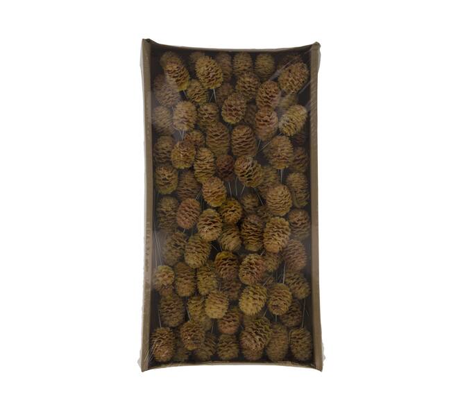 Sabulosum on wire stem 80pc in tray 36x20x5cm - Natural