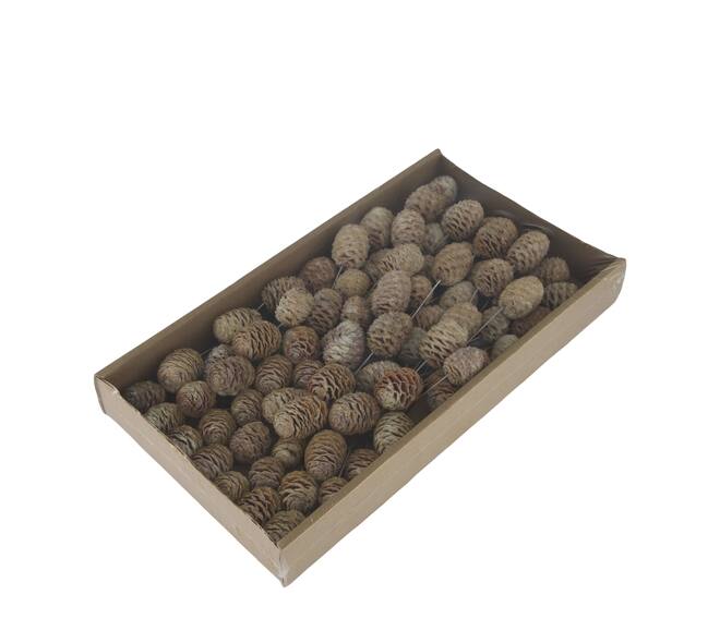 Sabulosum on wire stem 80pc in tray 36x20x5cm - White