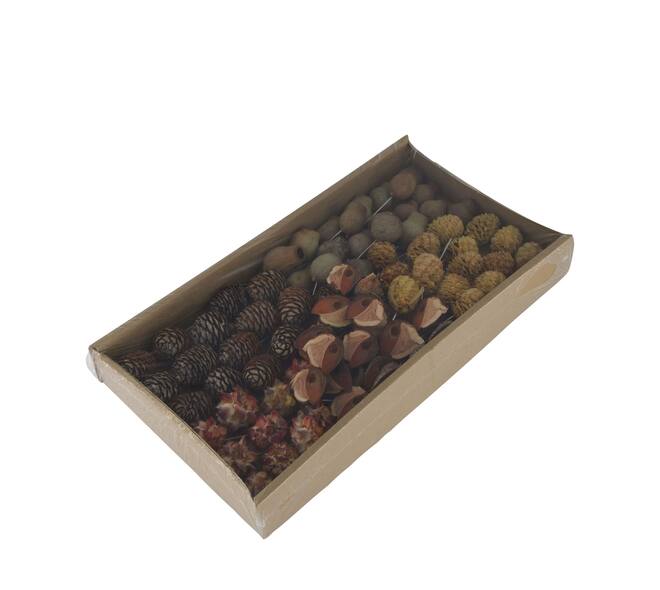 Leucodendron assortment on wire stem 80pc in tray 36x20x7cm - Natural