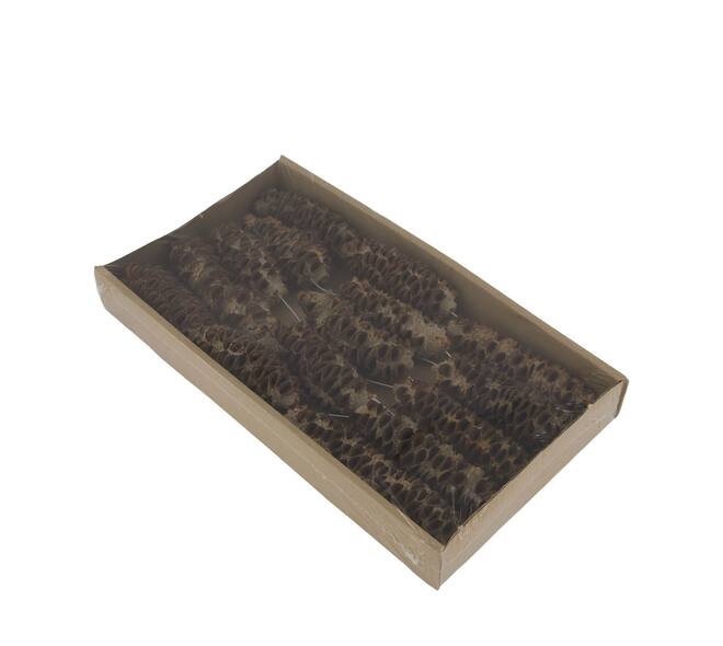 Mealy pod on wire stem 15pc in tray 36x20x5cm