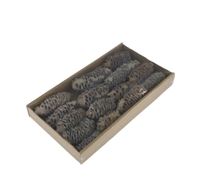 Mealy pod on wire stem 15pc in tray 36x20x5cm - White