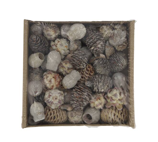 Leucondendron loose 400gr 19x19x5cm