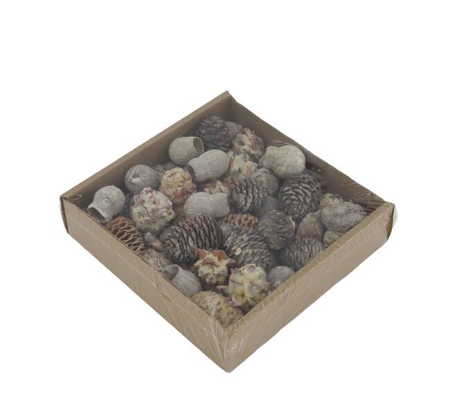 Leucondendron loose 400gr 19x19x5cm