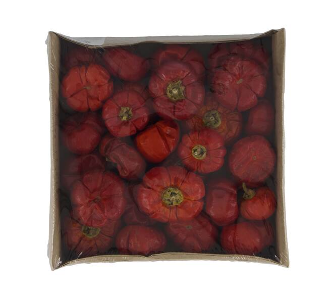 Pumpkin mini nature 19x19x4.5cm 200gr - Red