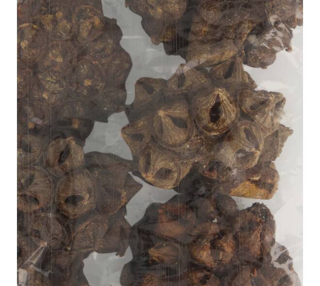 Spidergum knobs loose 250gr 28x12x6cm